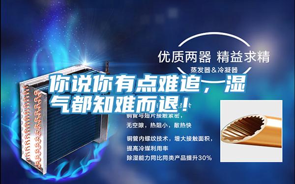 你說你有點難追,濕氣都知難而退!