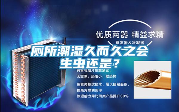 廁所潮濕久而久之會(huì)生蟲還是？