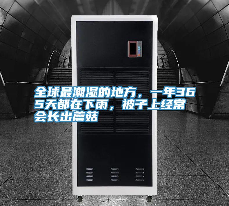 全球最潮濕的地方，一年365天都在下雨，被子上經常會長出蘑菇