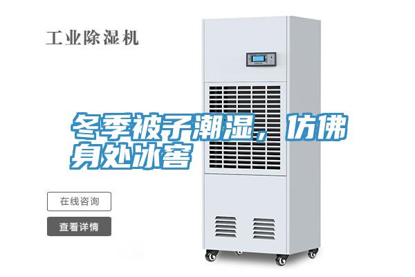 冬季被子潮濕，仿佛身處冰窖