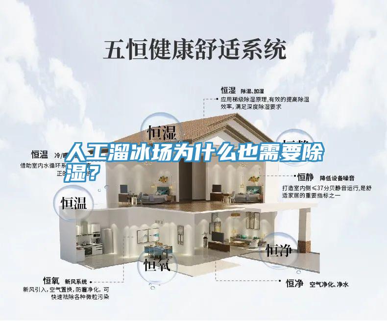 人工溜冰場(chǎng)為什么也需要除濕?