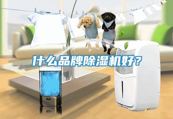 什么品牌除濕機(jī)好？
