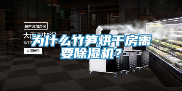 為什么竹筍烘干房需要除濕機?