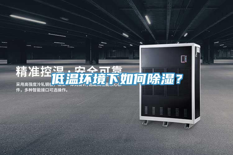 低溫環(huán)境下如何除濕?