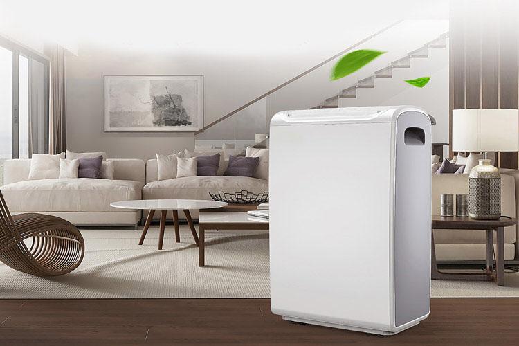 去除室內濕氣,除濕機更好