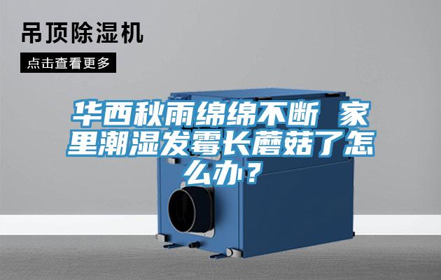 華西秋雨綿綿不斷 家里潮濕發(fā)霉長蘑菇了怎么辦?