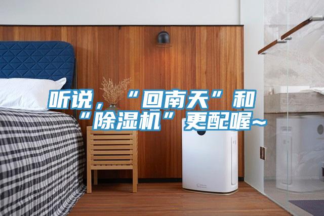 聽說，“回南天”和“除濕機”更配喔~