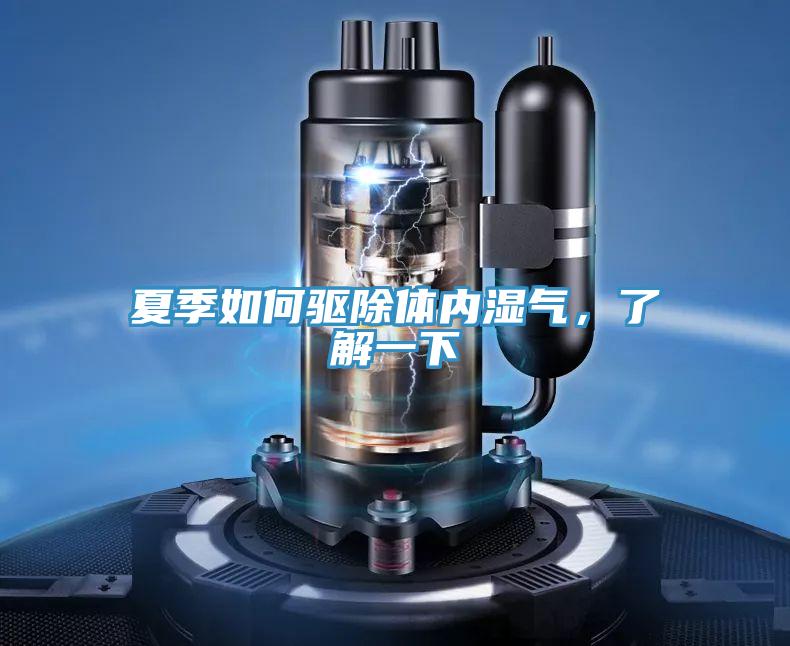 夏季如何驅除體內濕氣，了解一下