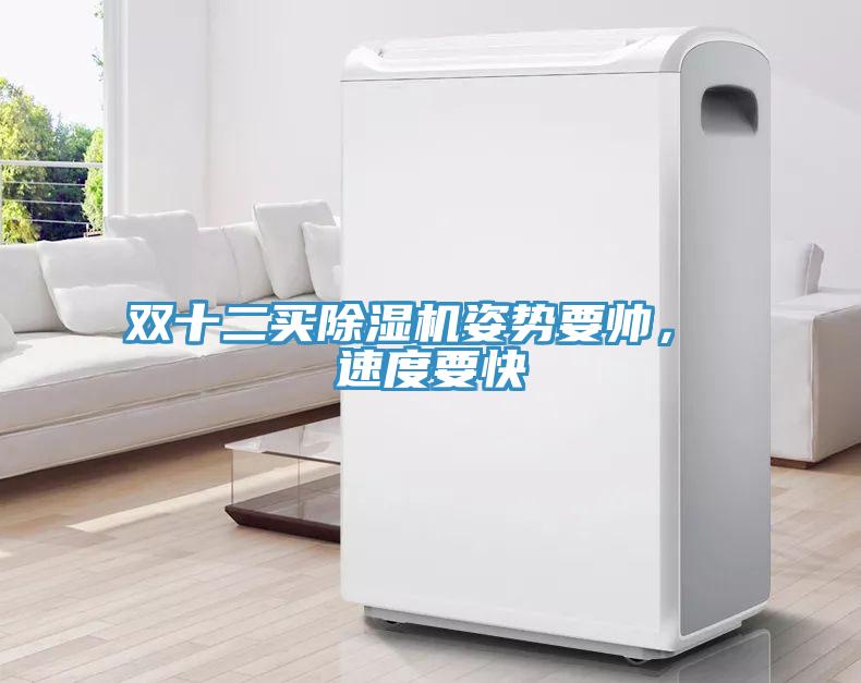 雙十二買除濕機姿勢要帥， 速度要快