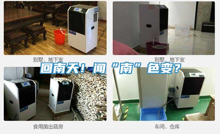 回南天!聞“南”色變?