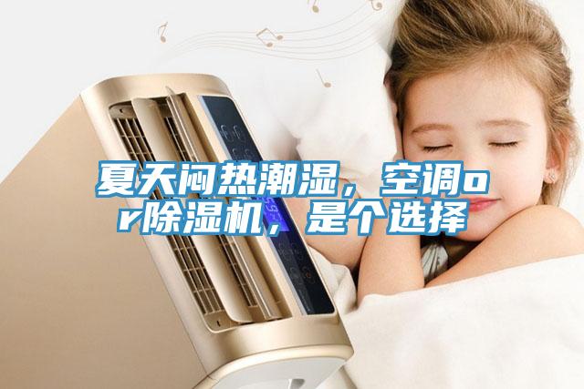 夏天悶熱潮濕，空調or除濕機，是個選擇