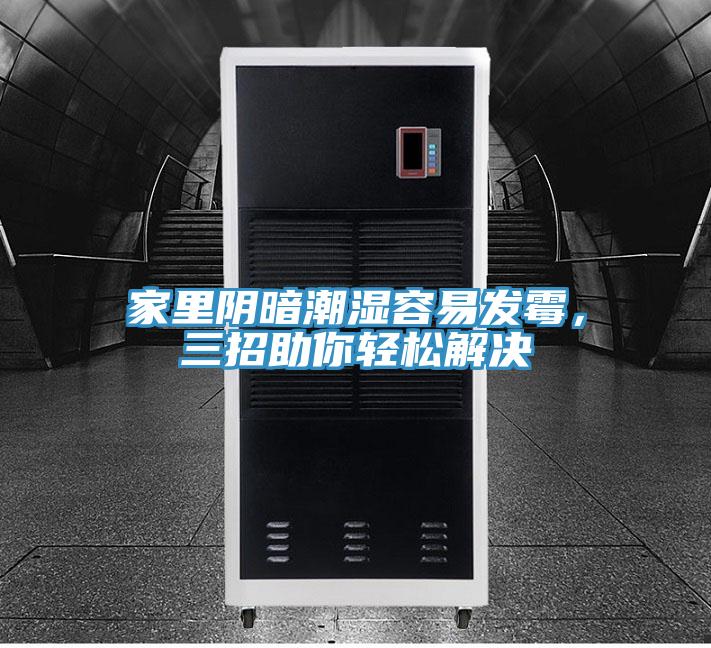 家里陰暗潮濕容易發(fā)霉，三招助你輕松解決