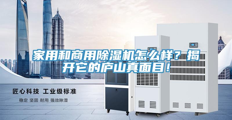 家用和商用除濕機怎么樣?揭開它的廬山真面目!
