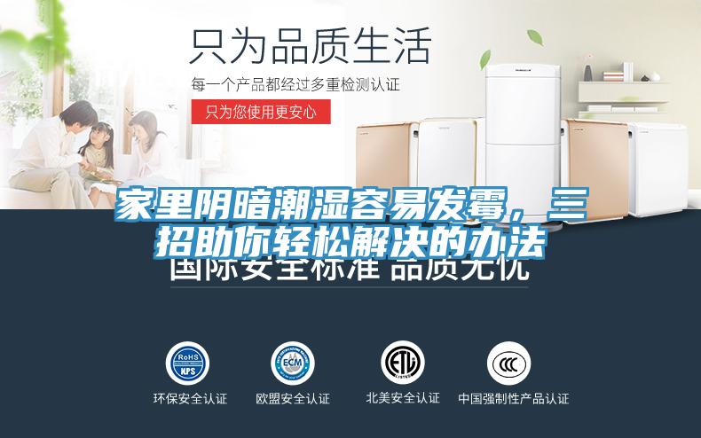 家里陰暗潮濕容易發(fā)霉，三招助你輕松解決的辦法