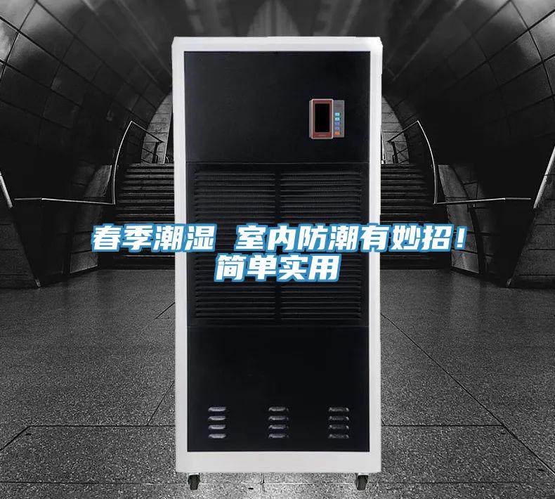 春季潮濕 室內防潮有妙招！簡單實用