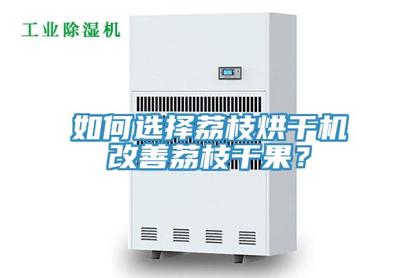 如何選擇荔枝烘干機(jī)改善荔枝干果？