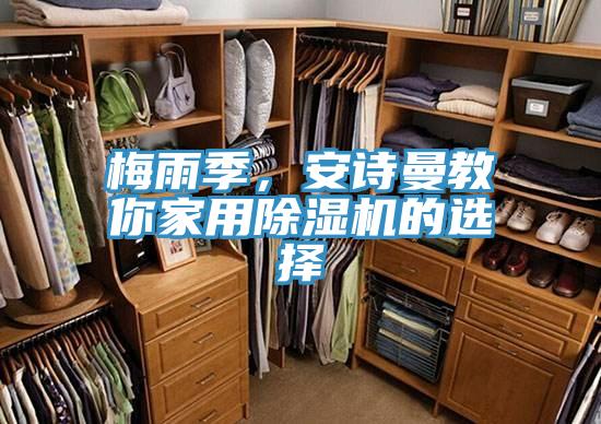 梅雨季,安詩(shī)曼教你家用除濕機(jī)的選擇
