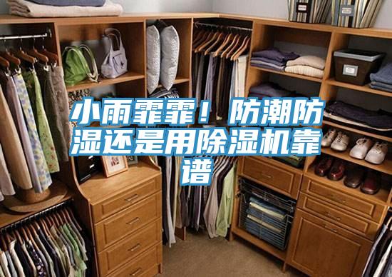 小雨霏霏!防潮防濕還是用除濕機靠譜