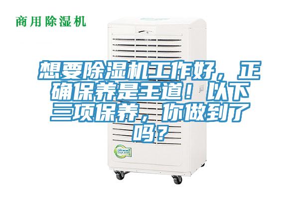 想要除濕機工作好，正確保養是王道！以下三項保養，你做到了嗎？