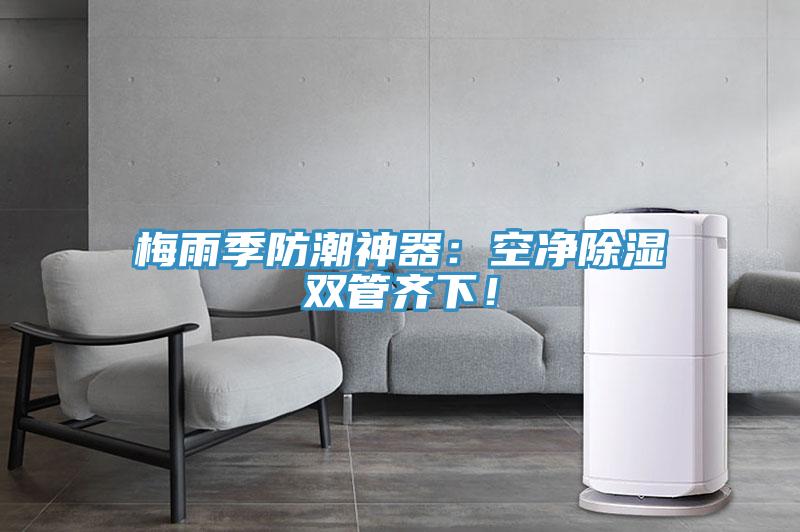 梅雨季防潮神器:空凈除濕雙管齊下!