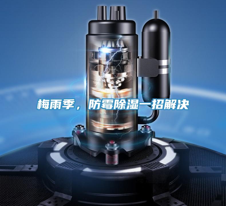 梅雨季，防霉除濕一招解決