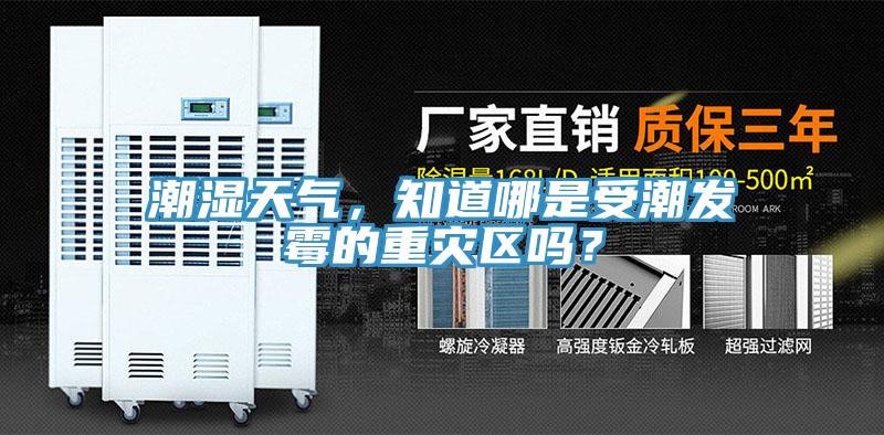 潮濕天氣,知道哪是受潮發霉的重災區嗎?