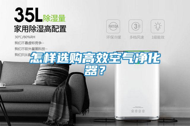 怎樣選購高效空氣凈化器?