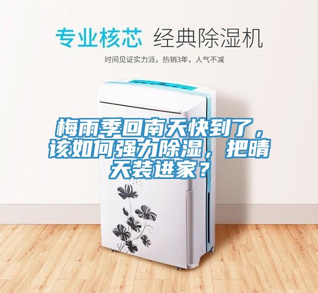 梅雨季回南天快到了,該如何強力除濕,把晴天裝進家?