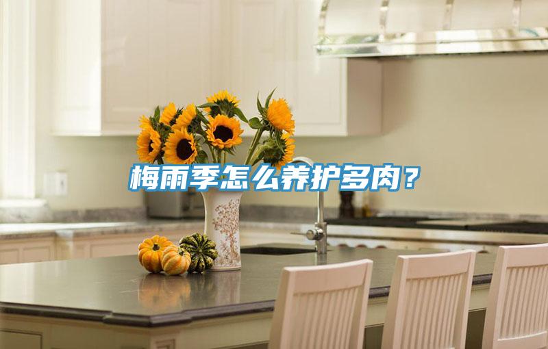 梅雨季怎么養(yǎng)護(hù)多肉?