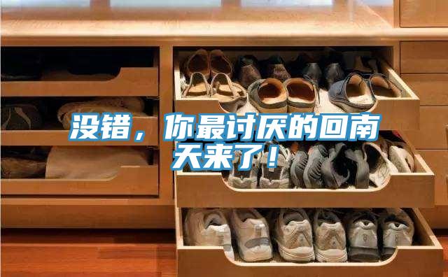 沒錯,你最討厭的回南天來了!