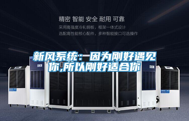 新風(fēng)系統(tǒng):因?yàn)閯偤糜鲆娔?所以剛好適合你