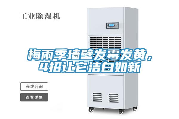 梅雨季墻壁發霉發黃,4招讓它潔白如新