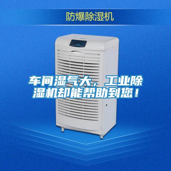 車間濕氣大,工業除濕機卻能幫助到您!