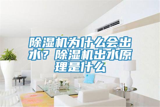 除濕機為什么會出水？除濕機出水原理是什么