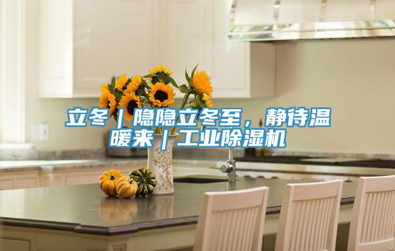 立冬|隱隱立冬至,靜待溫暖來|工業(yè)除濕機(jī)