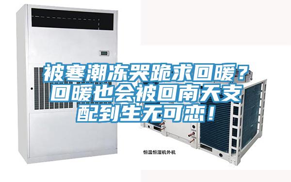 被寒潮凍哭跪求回暖?回暖也會被回南天支配到生無可戀!