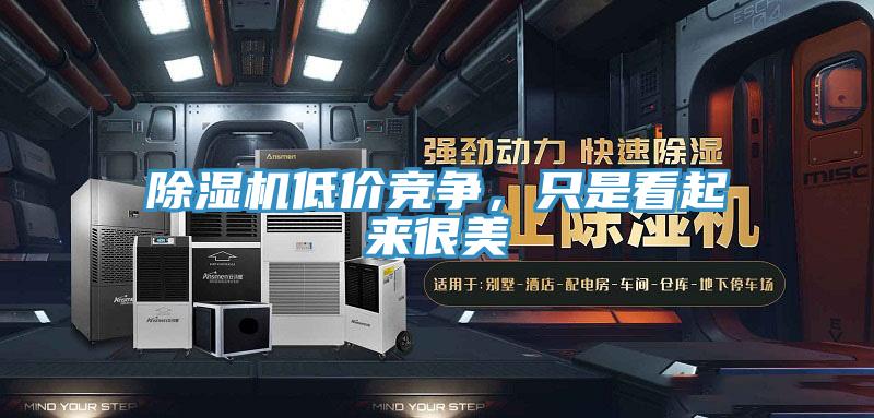 除濕機低價競爭,只是看起來很美