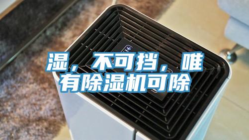 濕,不可擋,唯有除濕機可除