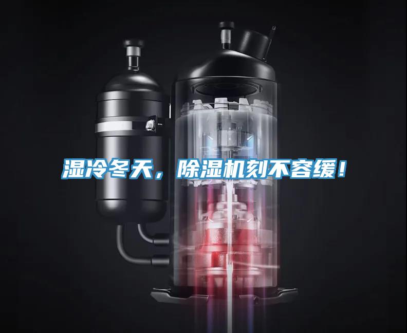 濕冷冬天，除濕機刻不容緩！