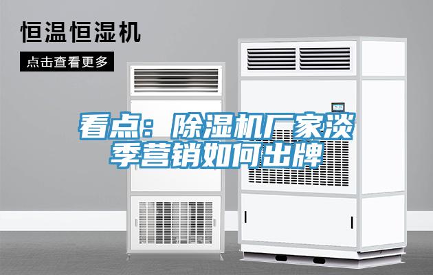 看點:除濕機廠家淡季營銷如何出牌