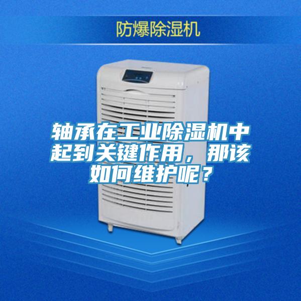 軸承在工業除濕機中起到關鍵作用，那該如何維護呢？