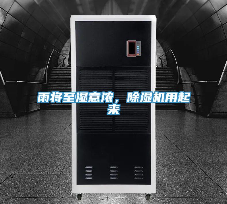 雨將至濕意濃，除濕機用起來