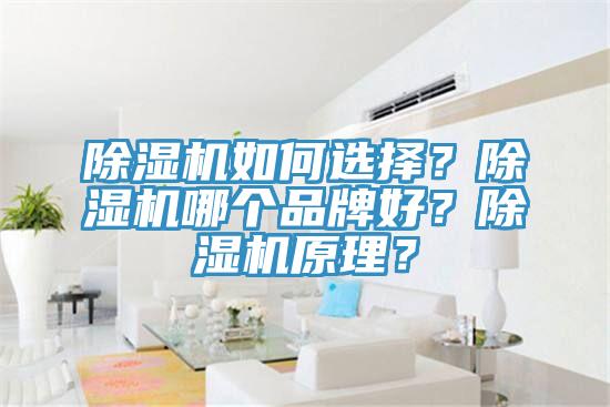 除濕機如何選擇？除濕機哪個品牌好？除濕機原理？