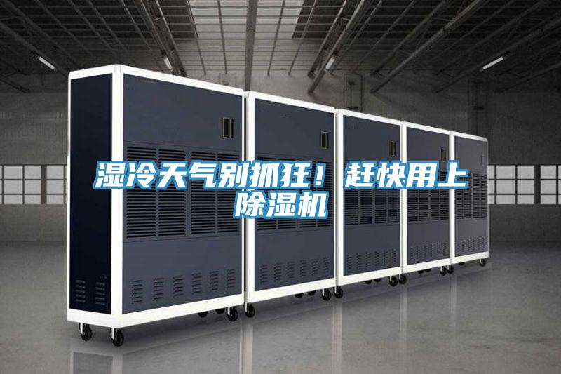 濕冷天氣別抓狂！趕快用上除濕機