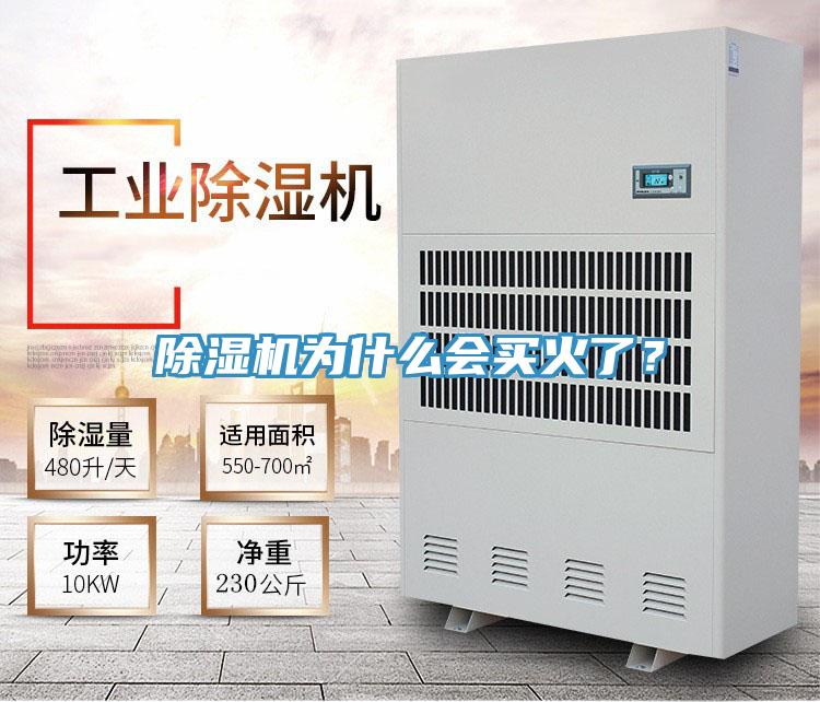 除濕機為什么會買火了？