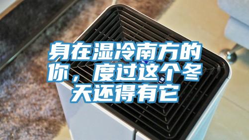 身在濕冷南方的你，度過這個冬天還得有它