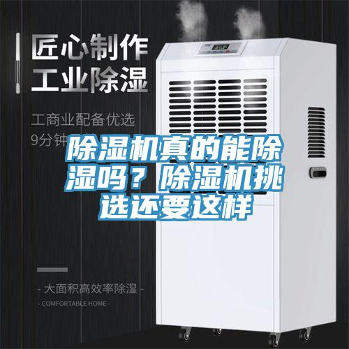 除濕機真的能除濕嗎？除濕機挑選還要這樣