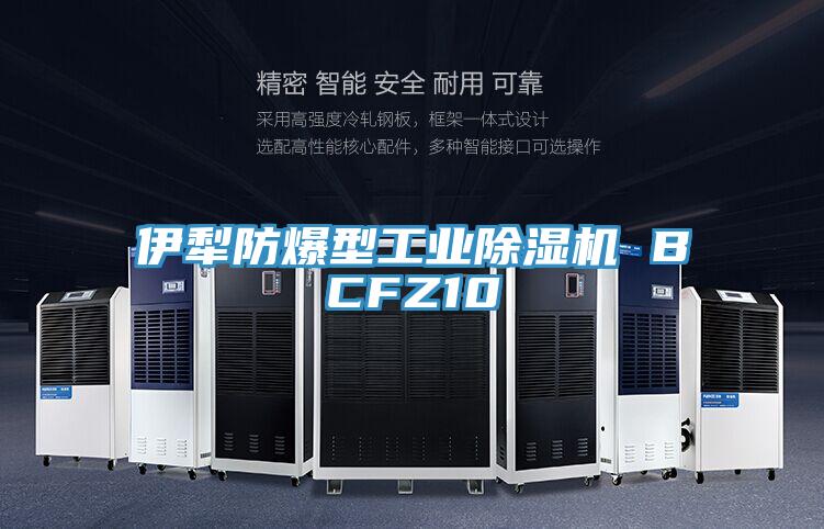 伊犁防爆型工業(yè)除濕機(jī) BCFZ10
