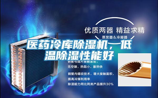 醫藥冷庫除濕機，低溫除濕性能好