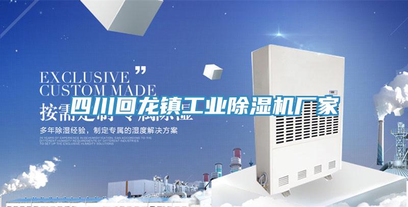四川回龍鎮工業除濕機廠家